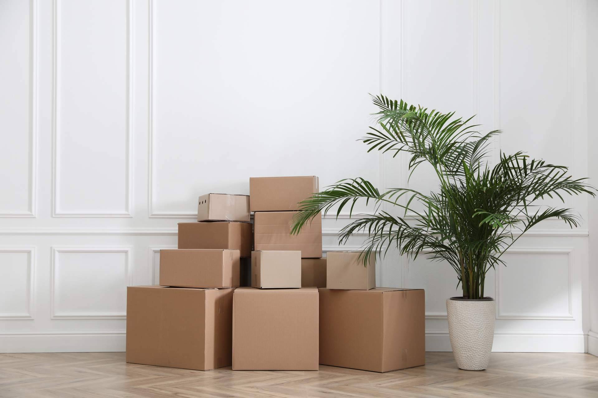 ¿Dónde contratar servicios de mudanzas en Barcelona de calidad? Cajas Mudanza BCN