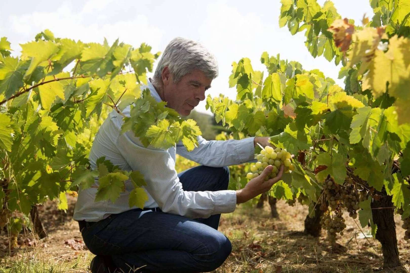 Elixir de uvas pasas con sabor a Andalucía con el vino Pedro Ximénez