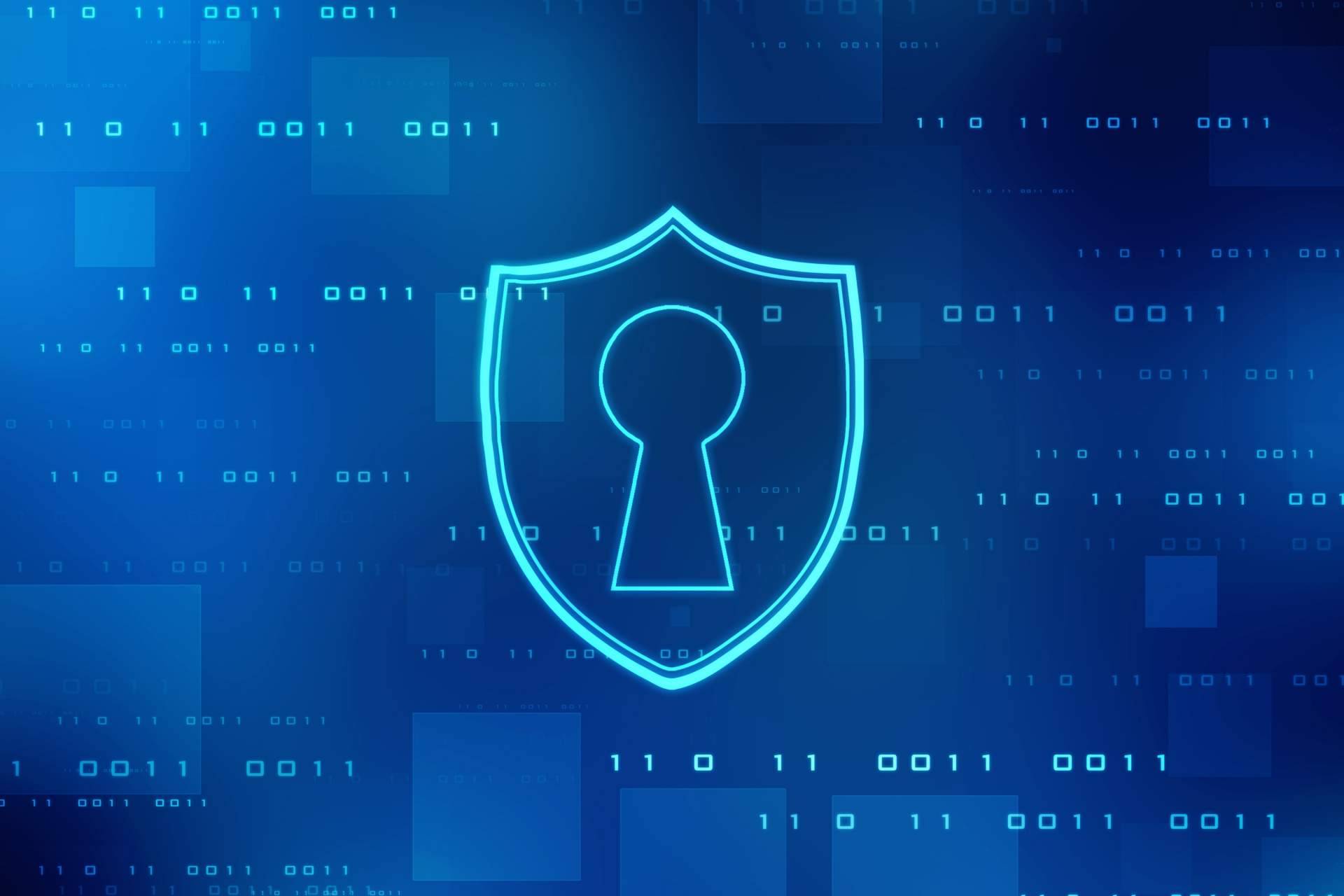Las empresas de seguridad informática recomiendan realizar auditorías para detectar vulnerabilidades en los sistemas