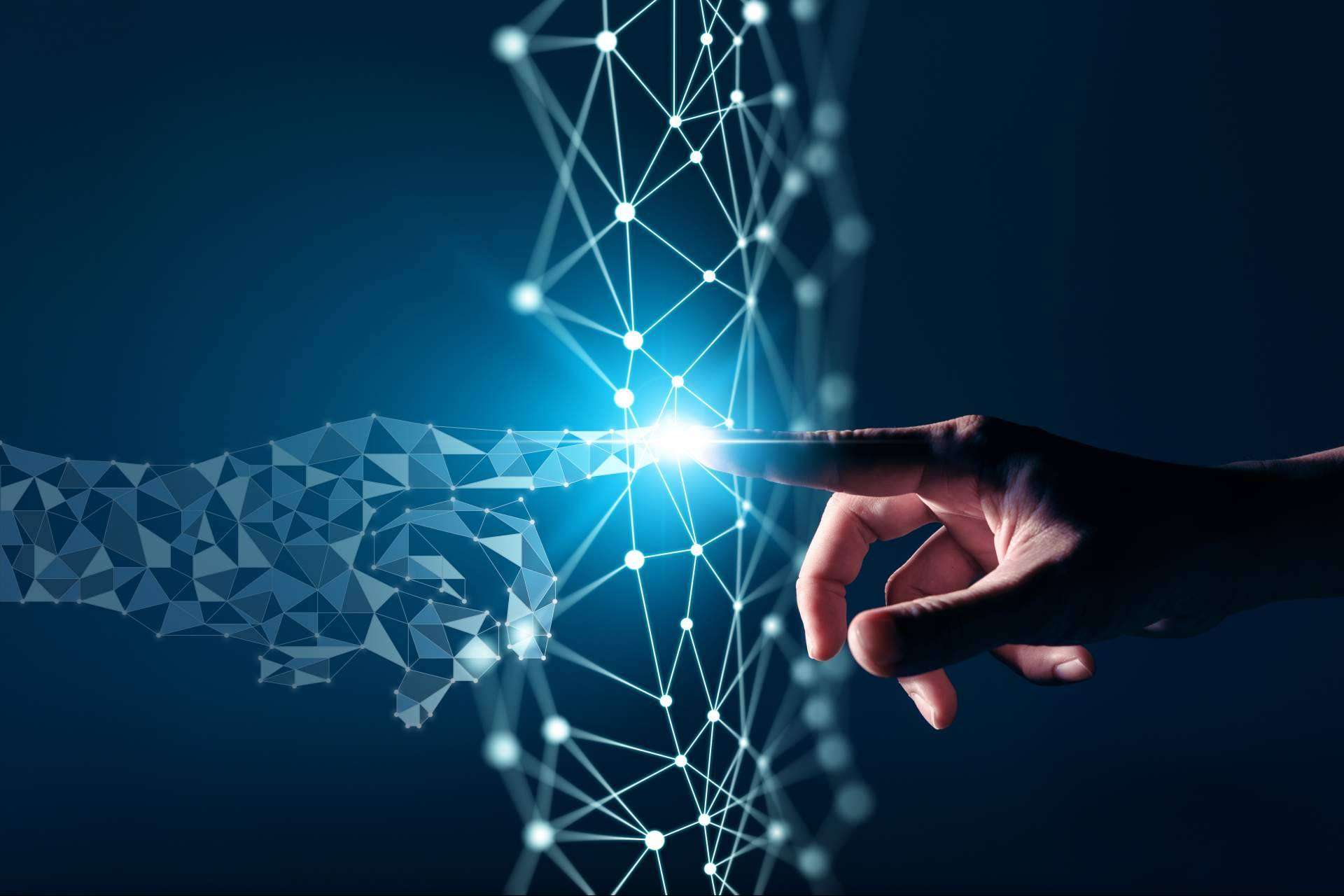 Nifty Export, una empresa especializada en la transformación digital