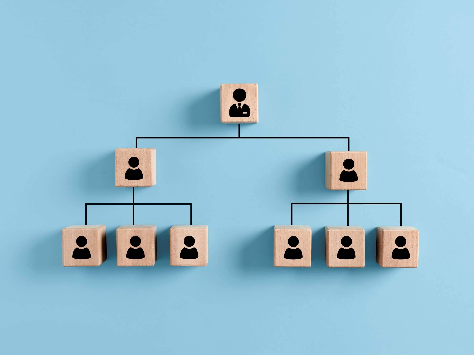 ISOTools sobre los tipos de estructura organizacional