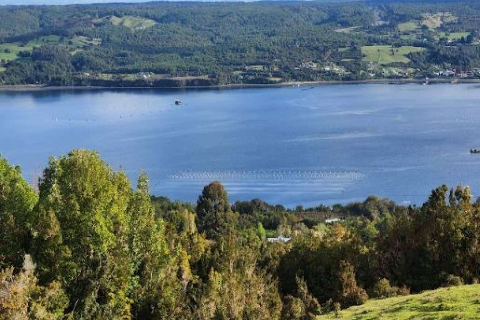 Latitudes Australes explica por qué comprar una parcela en Chile
