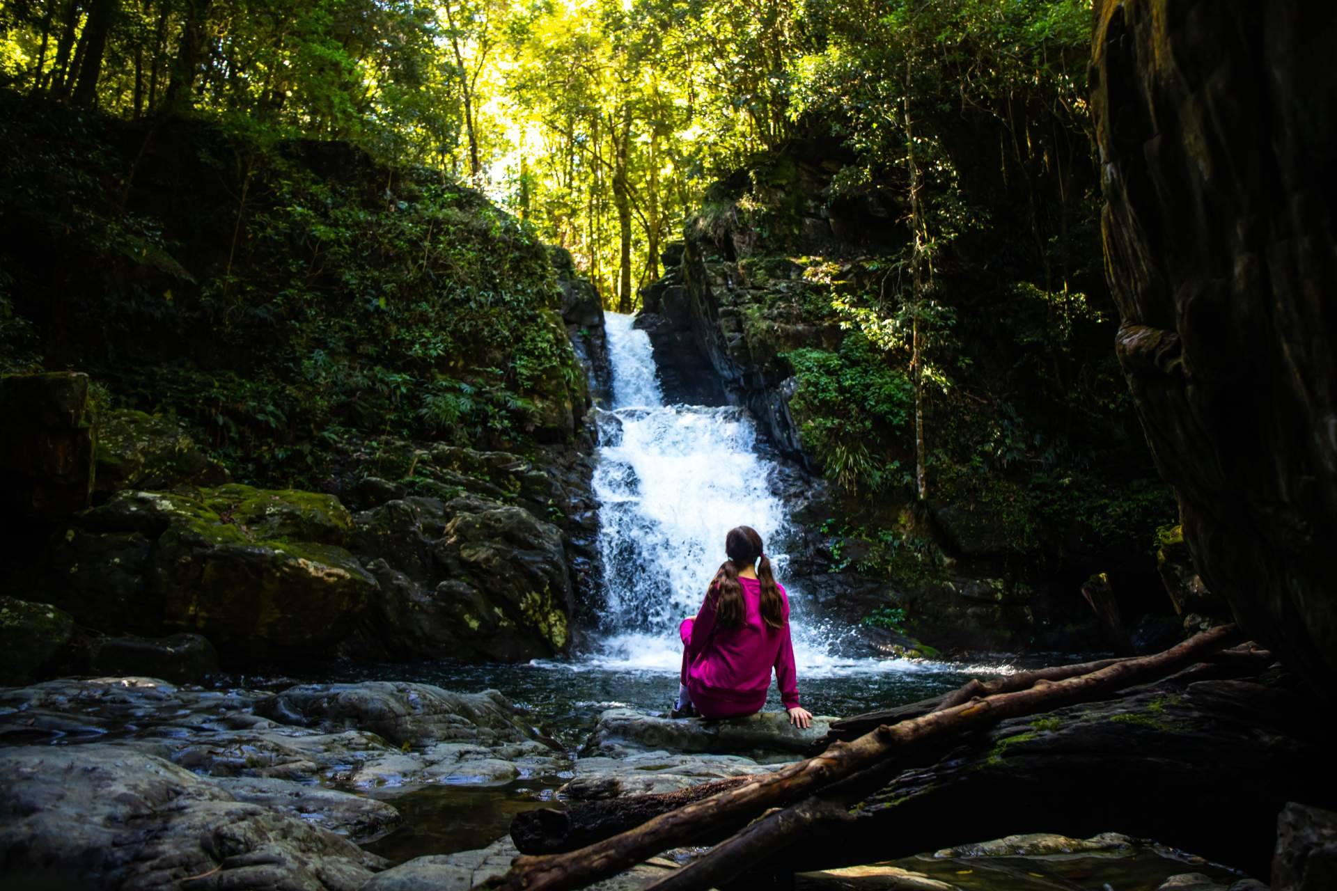 Baños de Bosque Madrid, una herramienta eficiente de salud y bienestar en el trabajo